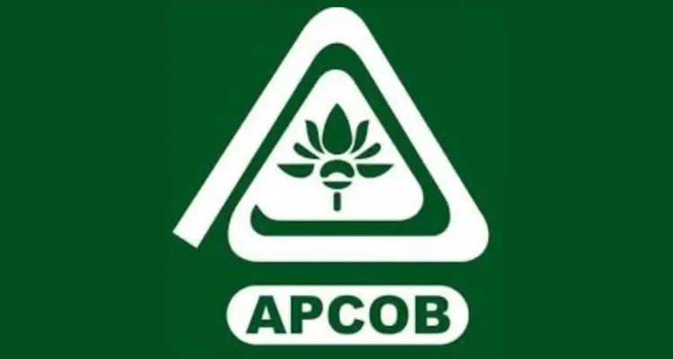 APCOB Staff Assistant Recruitment 2025 Notification PDF